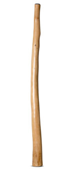 Jesse Lethbridge Didgeridoo (JL207)
